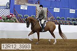 12r12_3993 proof