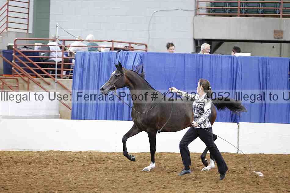 Proof 12r12_4052