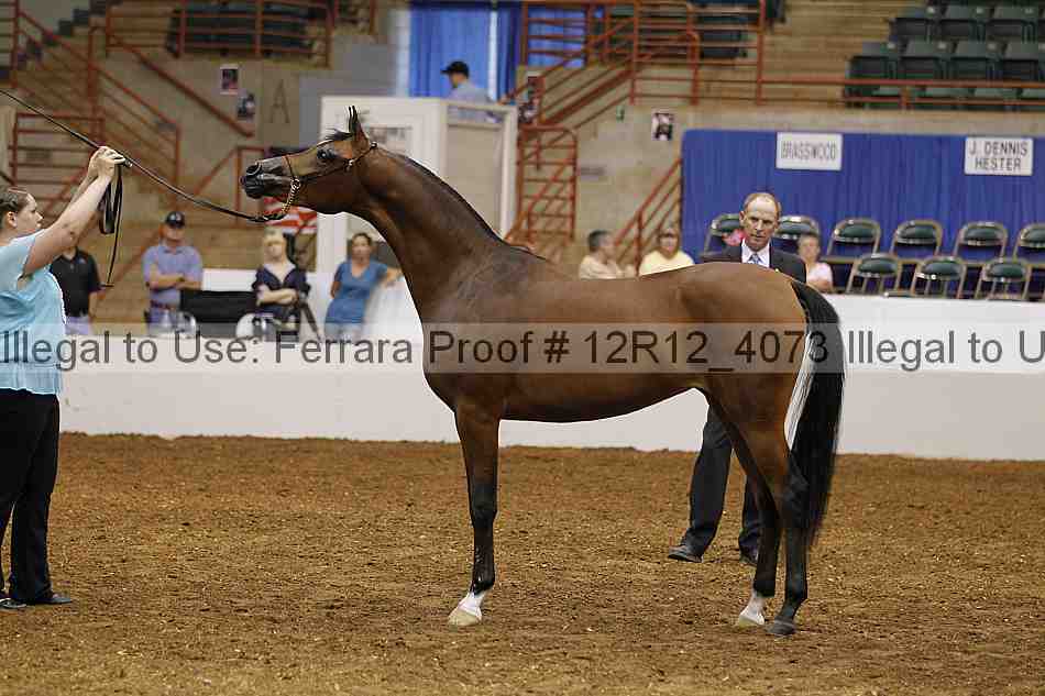 Proof 12r12_4073