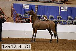 12r12_4079 proof