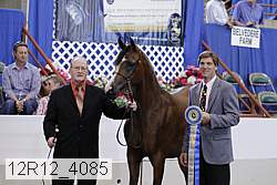 12r12_4085 proof
