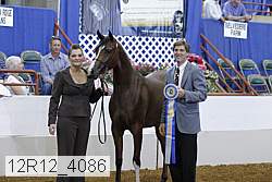 12r12_4086 proof