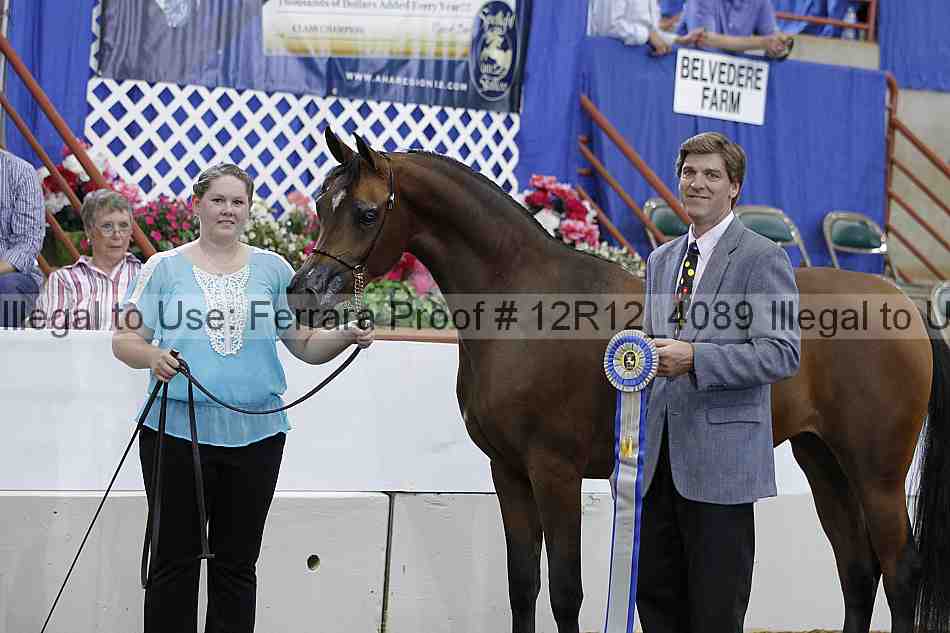 Proof 12r12_4089