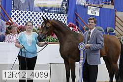 12r12_4089 proof