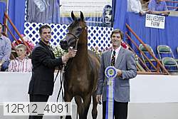 12r12_4091 proof