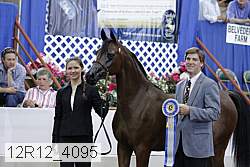 12r12_4095 proof