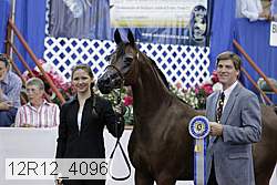 12r12_4096 proof