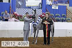 12r12_4097 proof