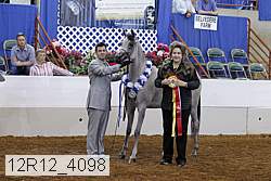 12r12_4098 proof