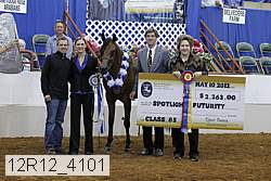 12r12_4101 proof