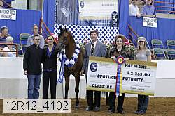 12r12_4102 proof