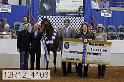 12r12_4103 proof