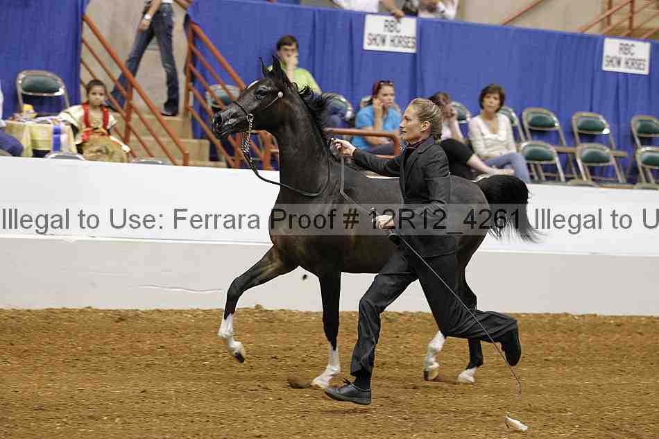 Proof 12r12_4261