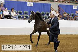 12r12_4271 proof