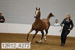 12r12_4272 proof