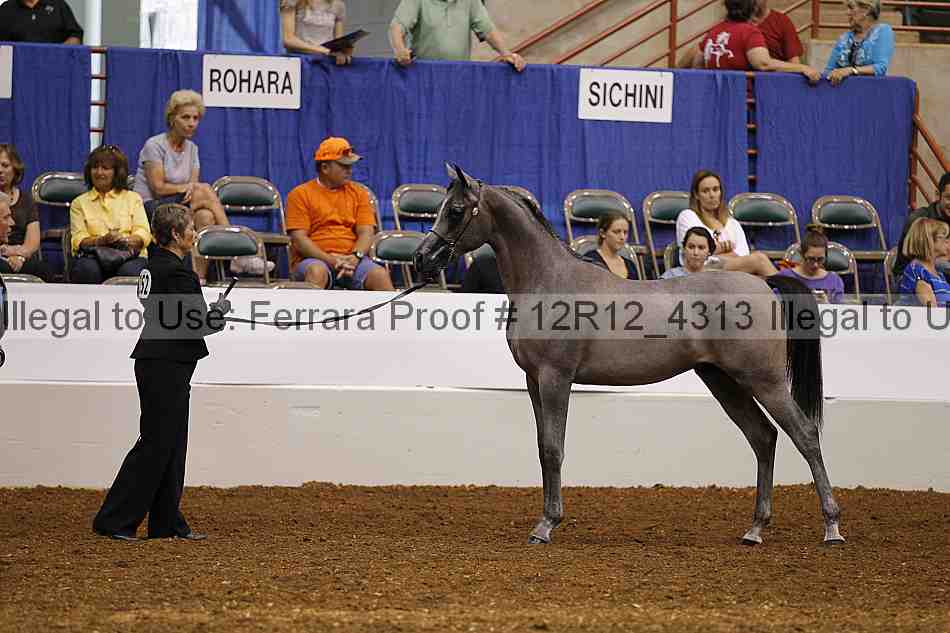 Proof 12r12_4313