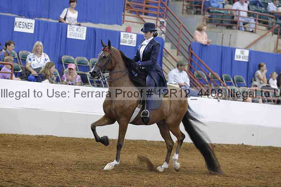 Proof 12r12_4408