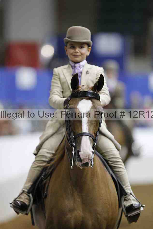 Proof 12r12_4590