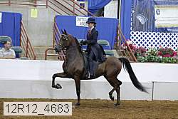 12r12_4683 proof