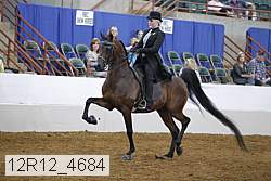 12r12_4684 proof
