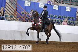 12r12_4707 proof
