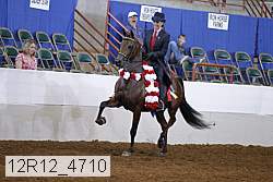 12r12_4710 proof