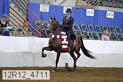 12r12_4711 proof