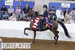12r12_4713 proof