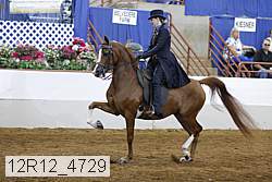 12r12_4729 proof