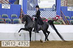 12r12_4732 proof