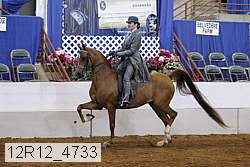 12r12_4733 proof