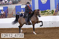 12r12_4739 proof