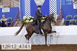 12r12_4741 proof