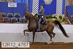 12r12_4767 proof