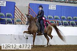 12r12_4772 proof