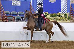 12r12_4773 proof