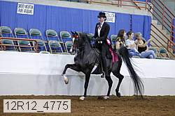 12r12_4775 proof