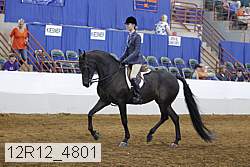 12r12_4801 proof