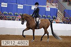 12r12_4802 proof