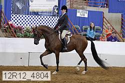 12r12_4804 proof
