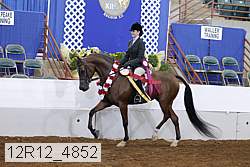 12r12_4852 proof