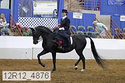 12r12_4876 proof