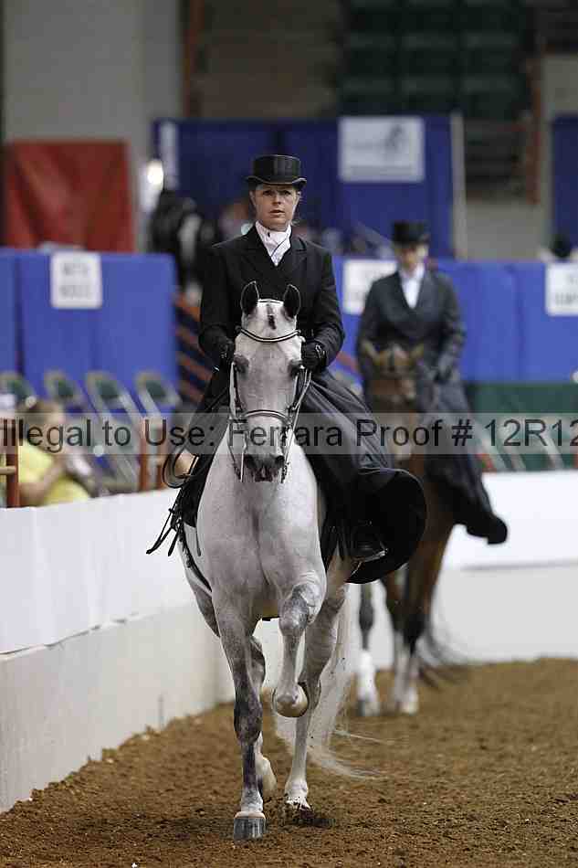 Proof 12r12_4878