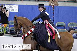 12r12_4901 proof