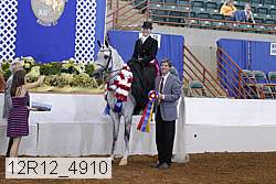 12r12_4910 proof