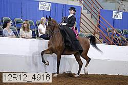12r12_4916 proof
