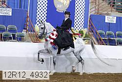 12r12_4932 proof