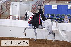 12r12_4933 proof