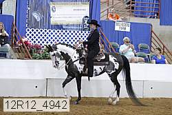 12r12_4942 proof