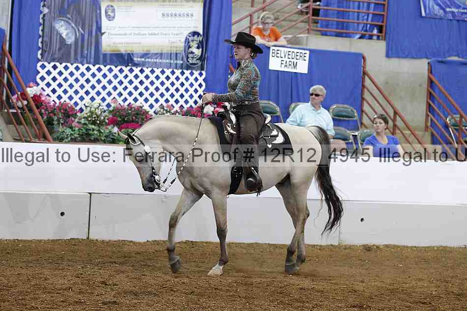 Proof 12r12_4945